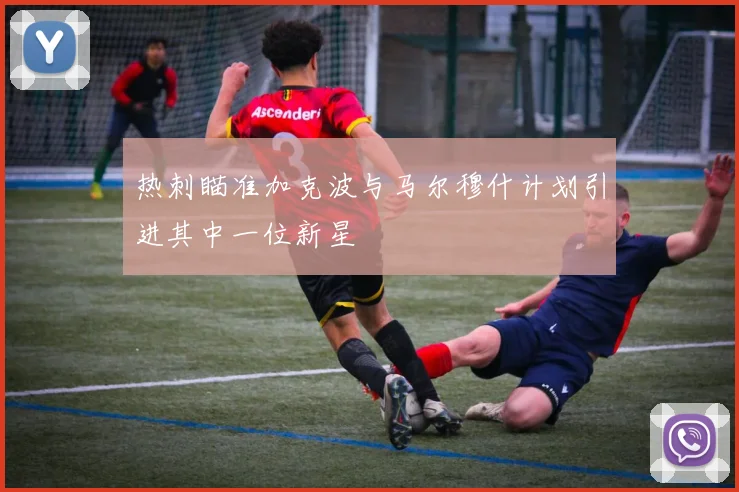 热刺瞄准加克波与马尔穆什计划引进其中一位新星